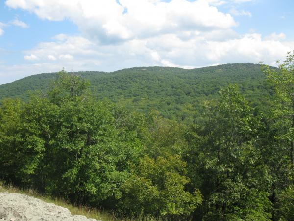 View of Harriman's hills. Photo by Dan Chazin.