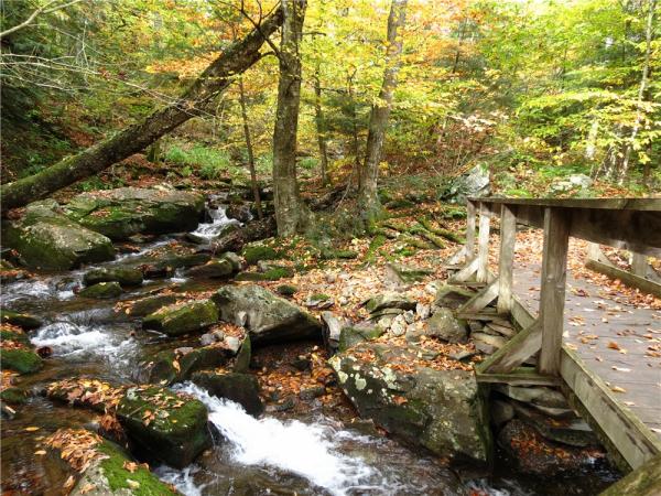 Bridge at Devil's Kitchen Lean-To