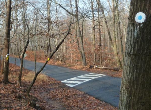 Blue Dot and Lenape Trail Merge at Cedar Avenue Crossing