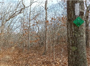 White Paumanok Path Blaze and Diamond Park Marker