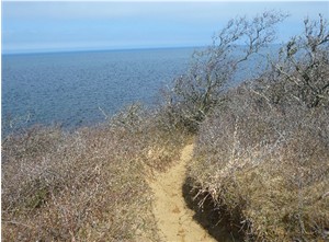 Paumanok Path Along Top of Bluffs