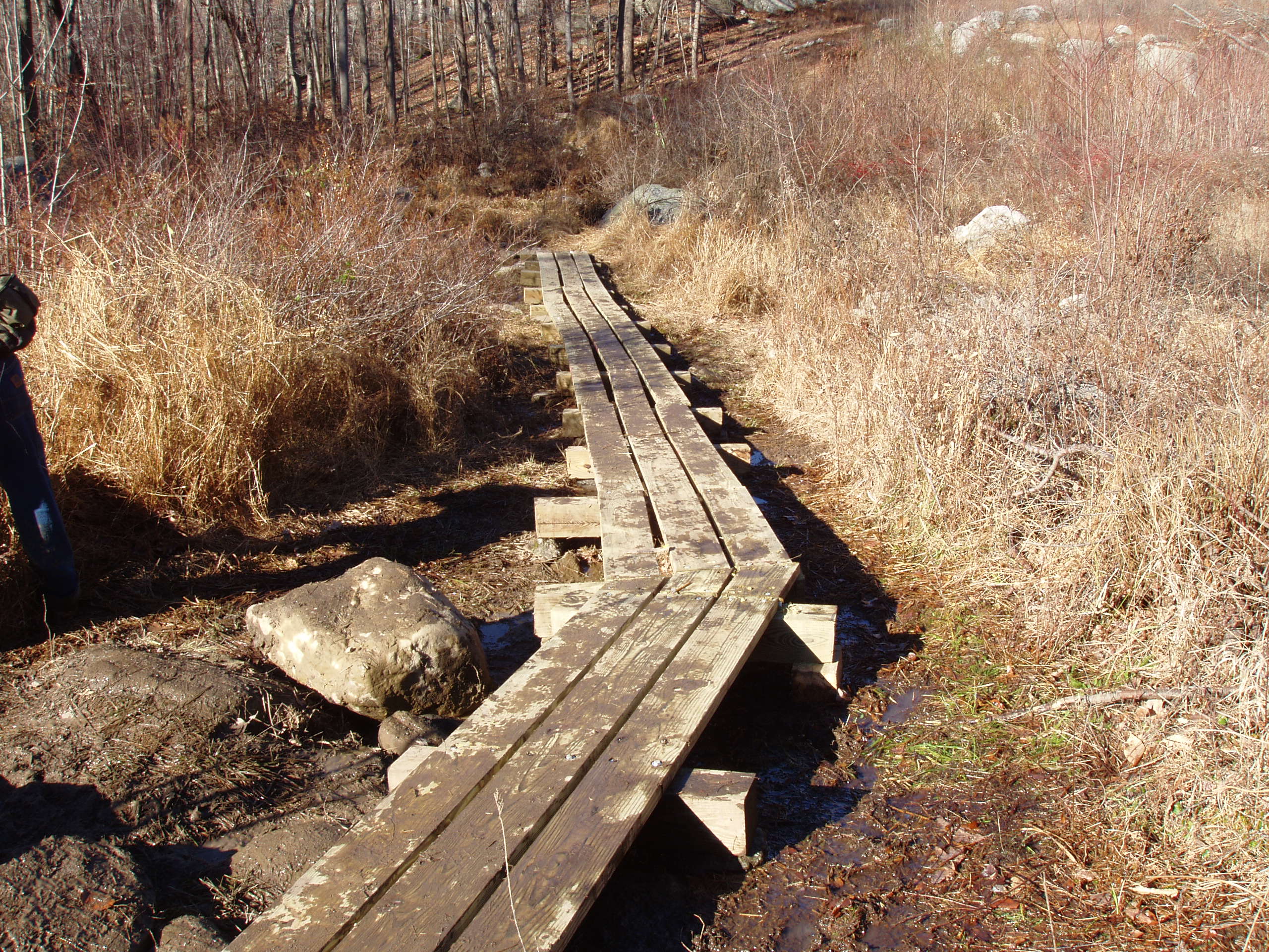 bog bridge