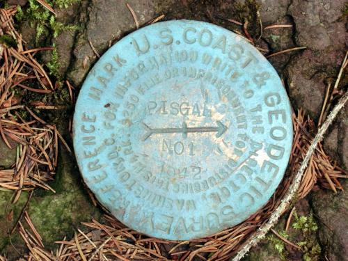 Mt. Pisgah summit marker