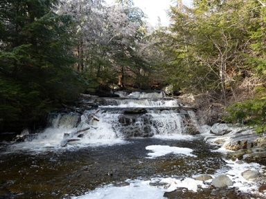 Vernooy-Falls2008