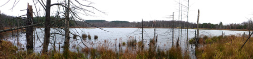 section30 looking glass pond