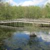 View of the footbridge to Wildflower Island from the Lakeside Trail - Photo by Daniel Chazin